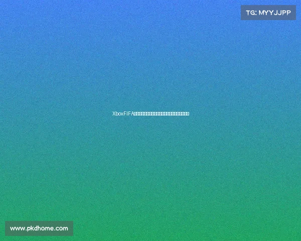 XboxFIFA世界杯终极对决体验与冠军之路全景解析沉浸体验